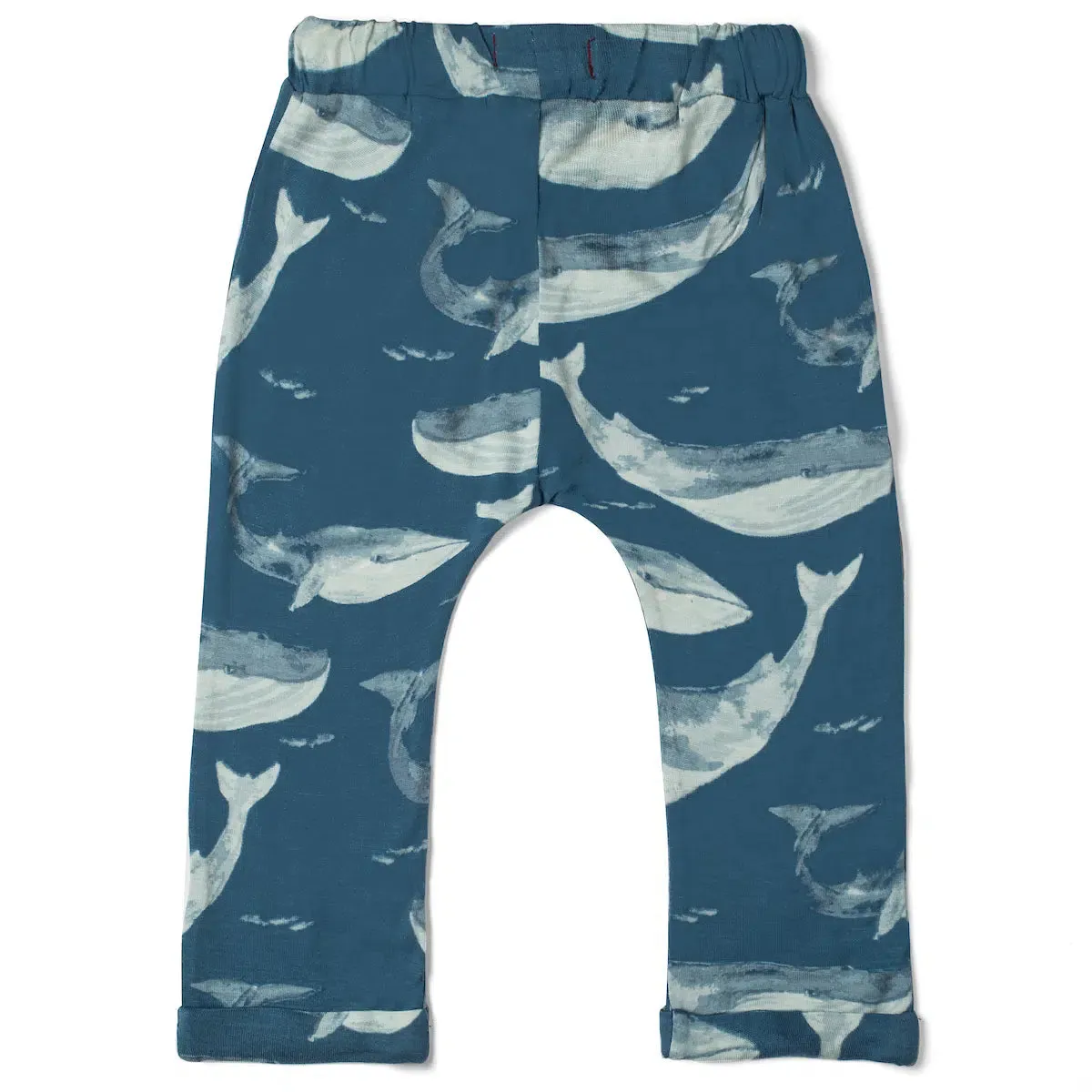 Blue Whale Jogger