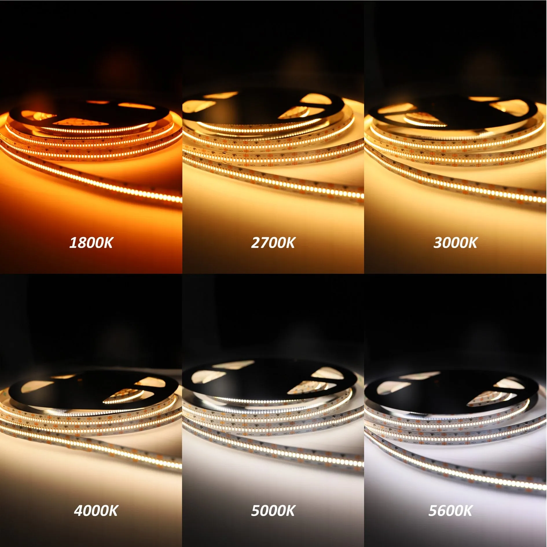 CRI-MAX CRI 95  High Brightness LED Flexible Strip 5600K - 420 LEDs/m - 5m/Reel