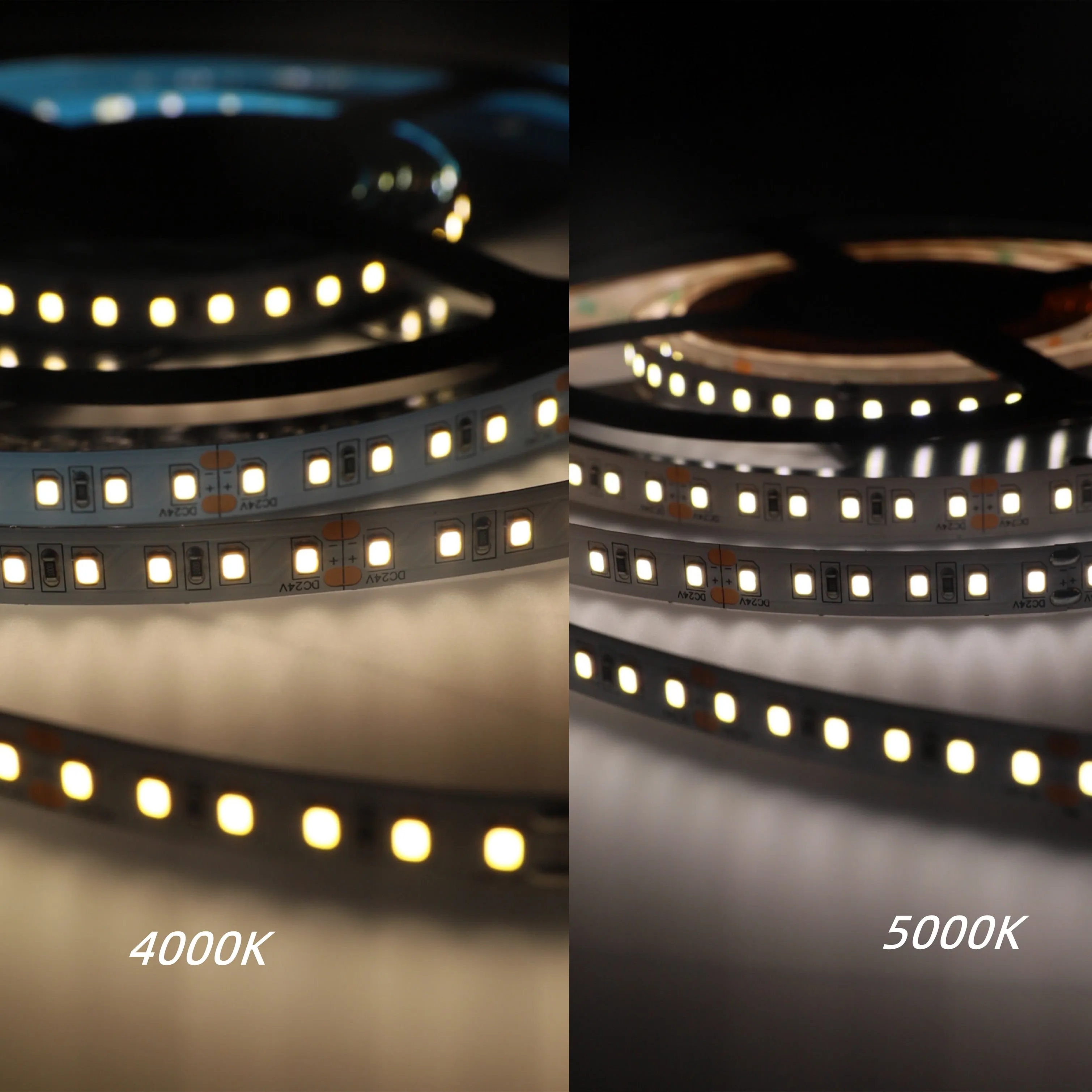 CRI-MAX CRI 95  LED Flexible Strip 4000K 5000K - 5m/Reel