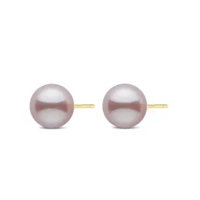 Elegant Edison Pearl Round Purple Pearl Stud Earrings WE00504