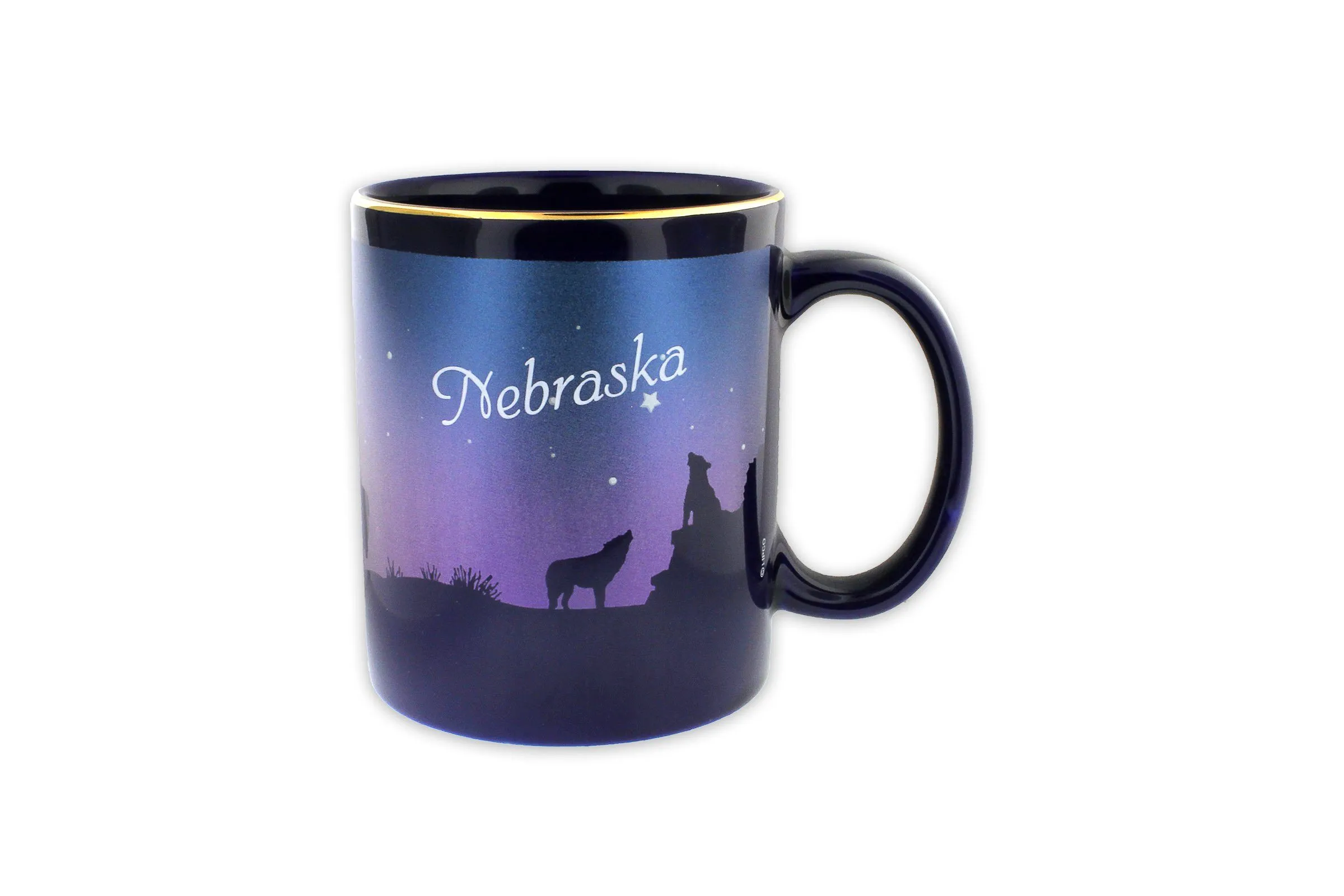 Nebraska Souvenir Night Scene Coffee Mug