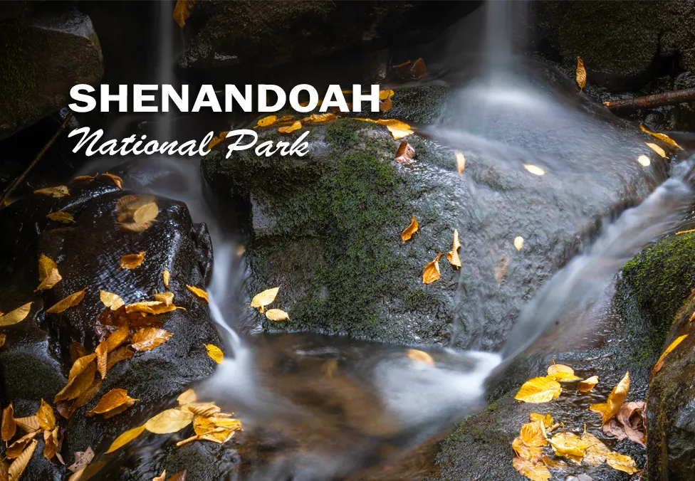 Shenandoah National Park 2"x3" Photo Magnet - Fall Waterfalls