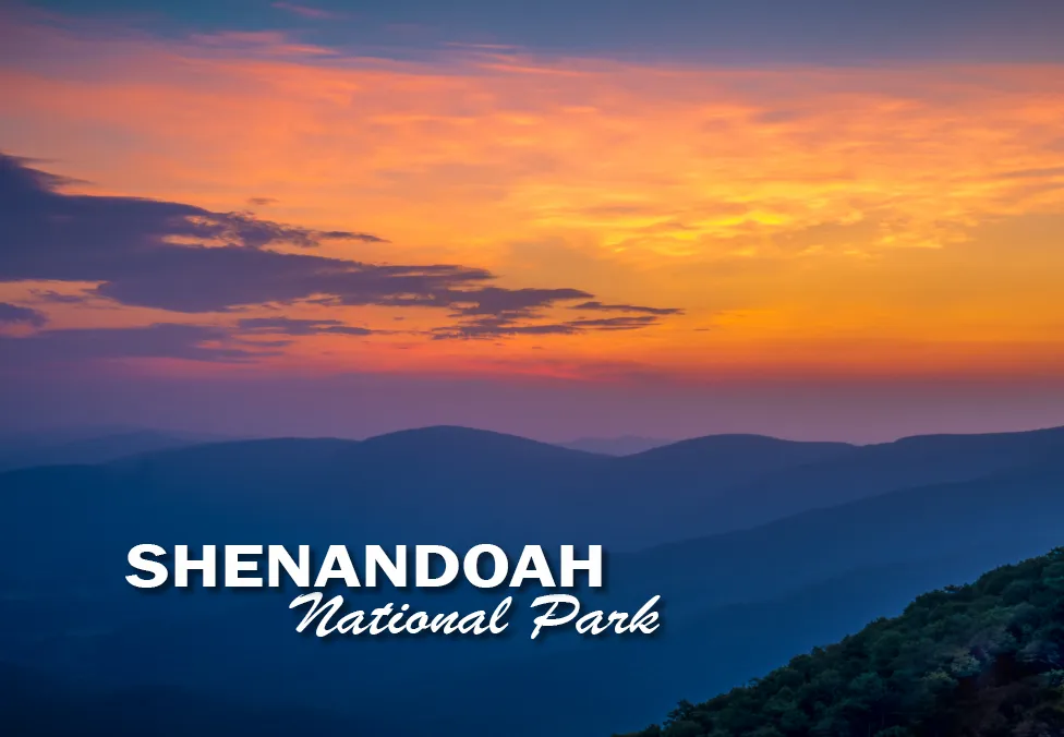 Shenandoah National Park Purple Sunrise 2"x3" Photo Magnet